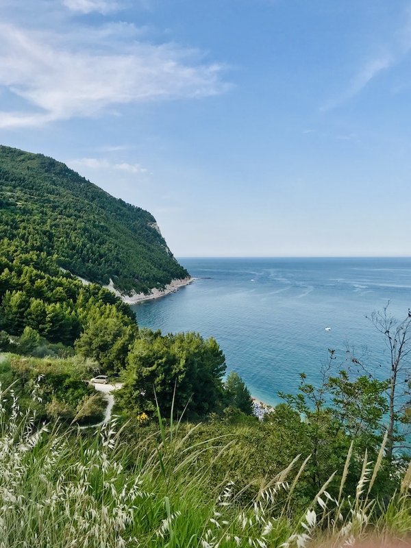 Quels sont les effets des groupes de marche sur la santé sociale et physique des seniors ?